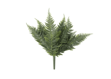 שרך פרסי 50 ס"מ – עמיד UV