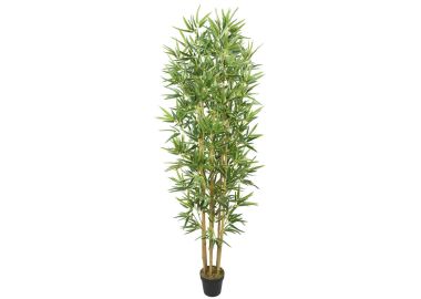עץ במבוק טבעי 1.80 מטר
