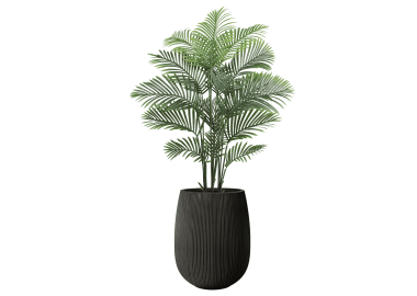 דקל אריקה 1.65 מטר+כד סנטוריני 40X34+חלוקי נחל ומילוי לכד-שחור