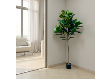 עץ פיקוס 160 ס"מ