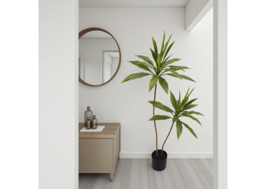 עץ קורדיליין 120 ס"מ