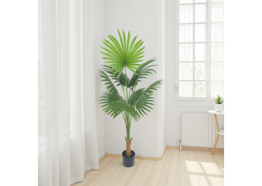 עץ ליוויסטונה 140 ס"מ