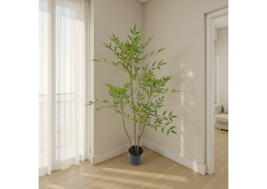 עץ ננדינה 120 ס"מ