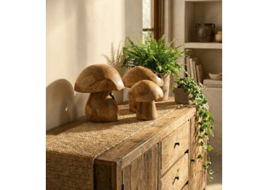 פטריות דקורטיביות מיני מעץ טיק