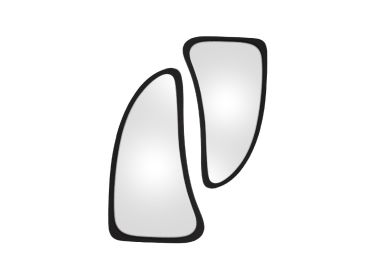 זוג מראות עם מסגרת עץ בצבע שחור דגם Harmony