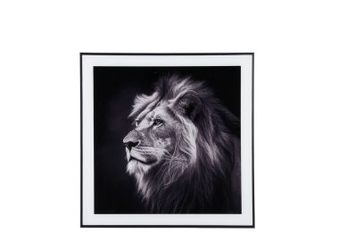 תמונה מעוצבת בשחור לבן דגם האריה מלך החיות