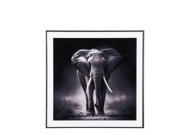 תמונה מעוצבת בשחור לבן דגם הפיל האפריקאי