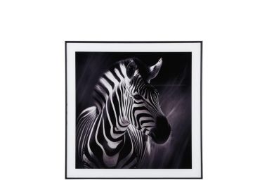 תמונה מעוצבת בשחור לבן דגם זברה סאוונה