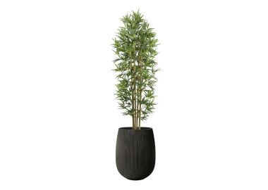 עץ במבוק 1.8 מטר+כד סנטוריני 40X34+חלוקי נחל ומילוי לכד-שחור