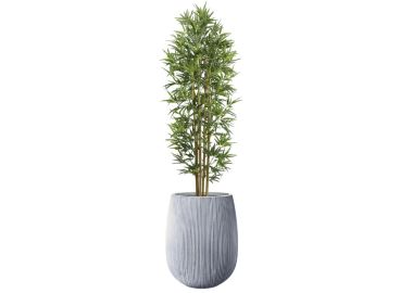 עץ במבוק 1.8 מטר+כד סנטוריני 40X34+חלוקי נחל ומילוי לכד-אפור
