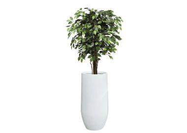 פיקוס ירוק 1.2 מטר+כד אתונה 60X30 +חלוקי נחל ומילוי לכד-לבן