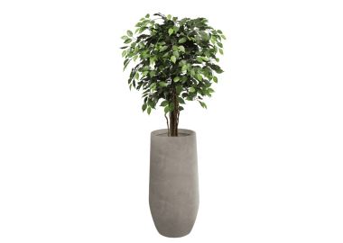 פיקוס ירוק 1.2 מטר+כד אתונה 60X30 +חלוקי נחל ומילוי לכד-אבן