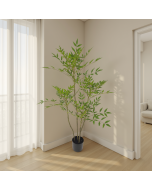 עץ ננדינה 120 ס"מ