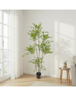 עץ ננדינה 180 ס"מ