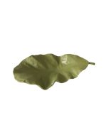 מגש בצורת עלה ירוק 15*31 ס"מ