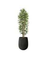 עץ במבוק 1.8 מטר+כד סנטוריני 40X34+חלוקי נחל ומילוי לכד-שחור