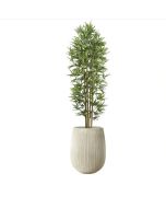 עץ במבוק 1.8 מטר+כד סנטוריני 40X34+חלוקי נחל ומילוי לכד-קרם