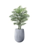 דקל אריקה 1.65 מטר+כד סנטוריני 60X49+חלוקי נחל ומילוי לכד-אפור
